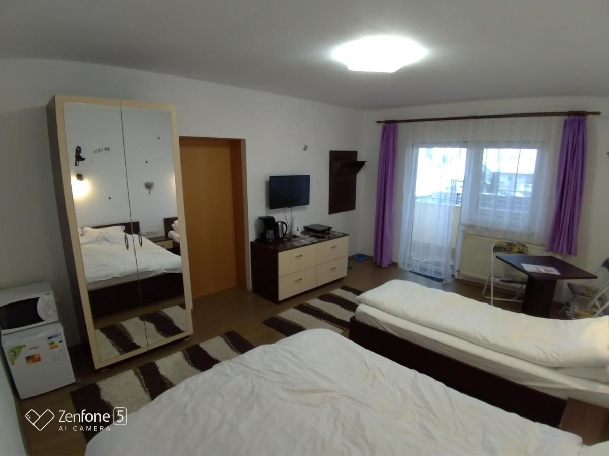 Гостевой дом Sibiu 33 Сибиу