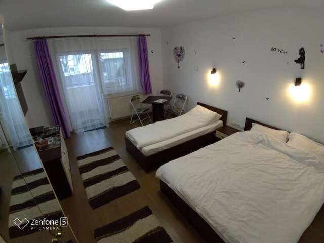 Гостевой дом Sibiu 33 Сибиу-21